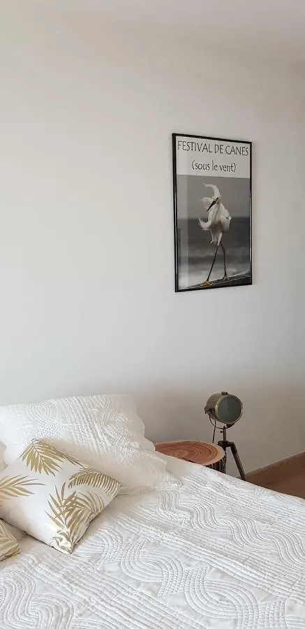 Apartament La Goelette - Palais Des Festivals Cannes